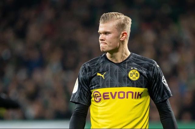 损失厌恶与 损失厌恶与